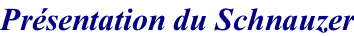 Présentation du Schnauzer